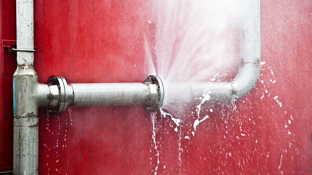 Best Professional water damage repair  in Memphis, TX