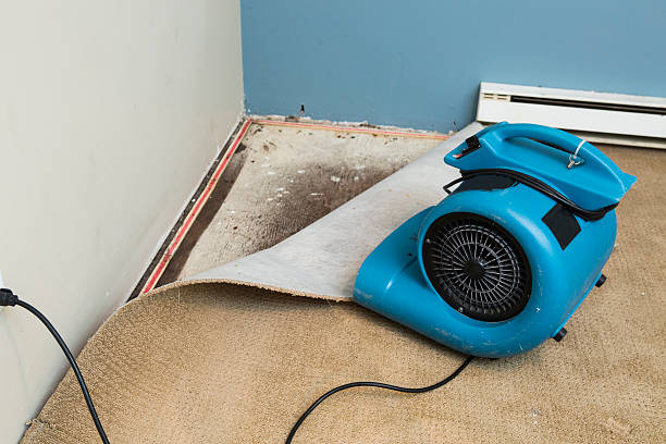 Best Local water damage restoration  in Memphis, TX